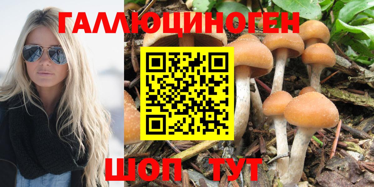Мегион  Галлюциногенные грибы ЛСД  Вход с VPN 