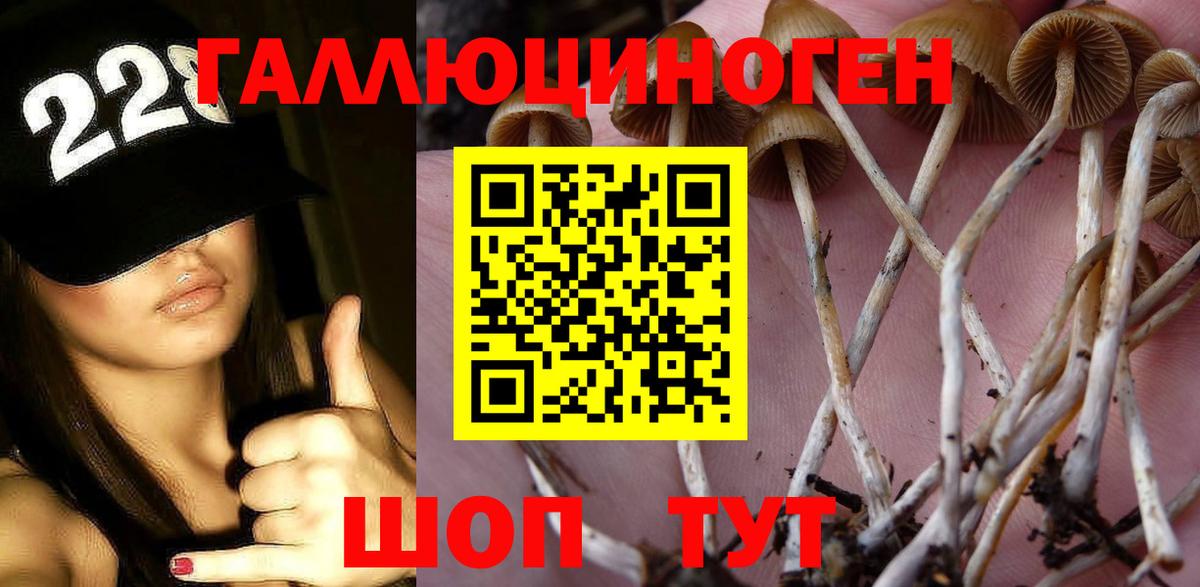 Псилоцибиновые грибы Magic Shrooms Мегион
